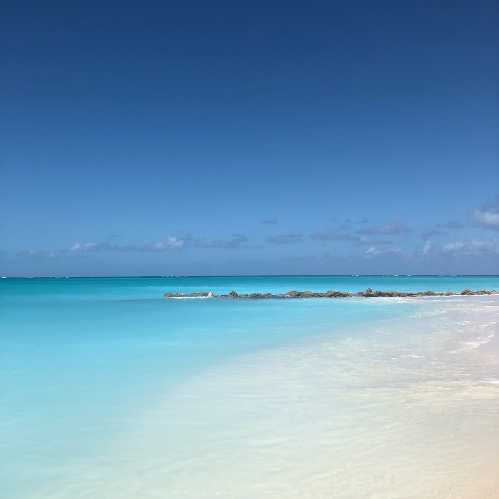 Meet your Posher, Hampton